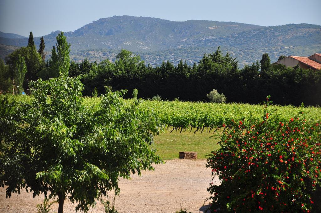 Château de Jonquières - Hérault Esterno foto